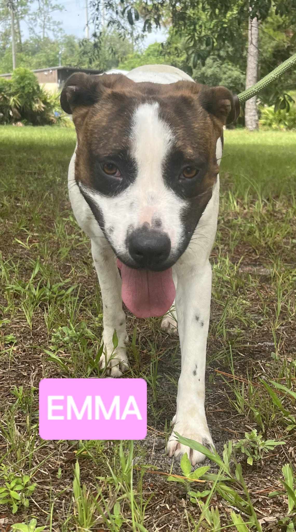 Emma