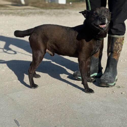Edgar
