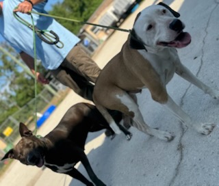 Zena & Scrappy