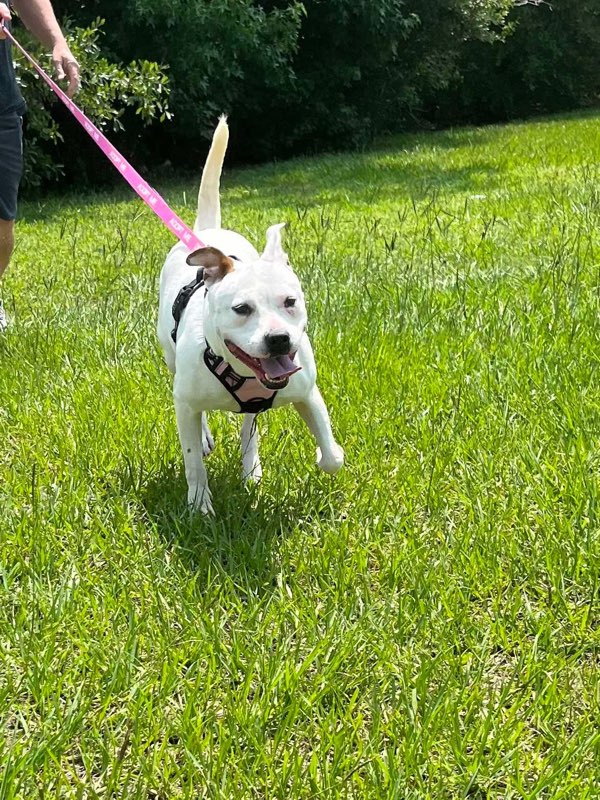 Bonnie