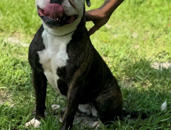 Maggie