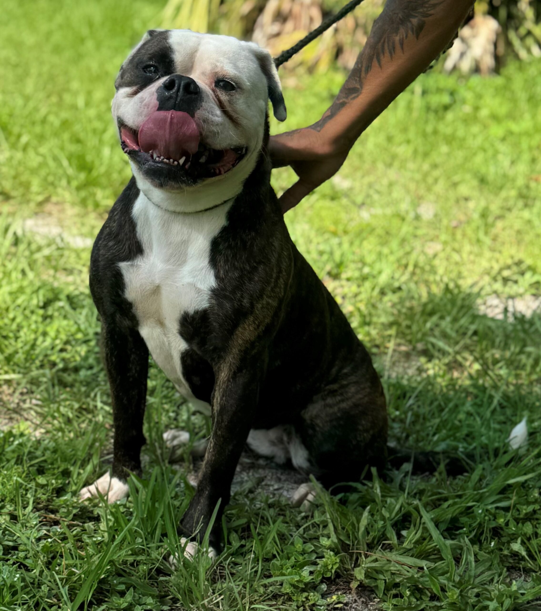 Maggie