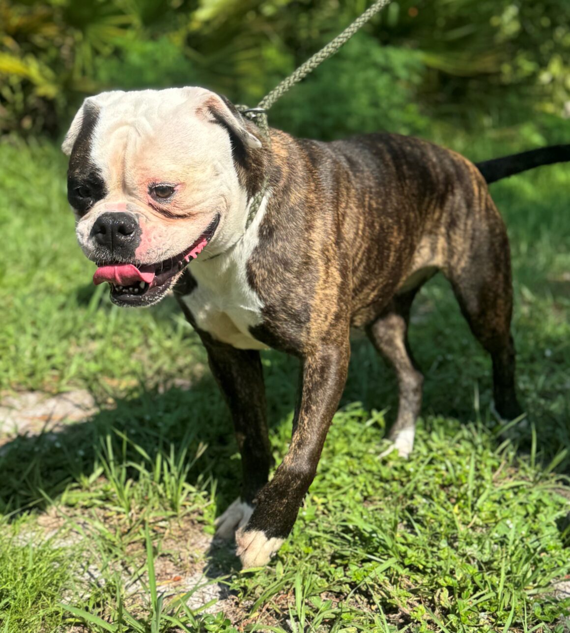 Maggie