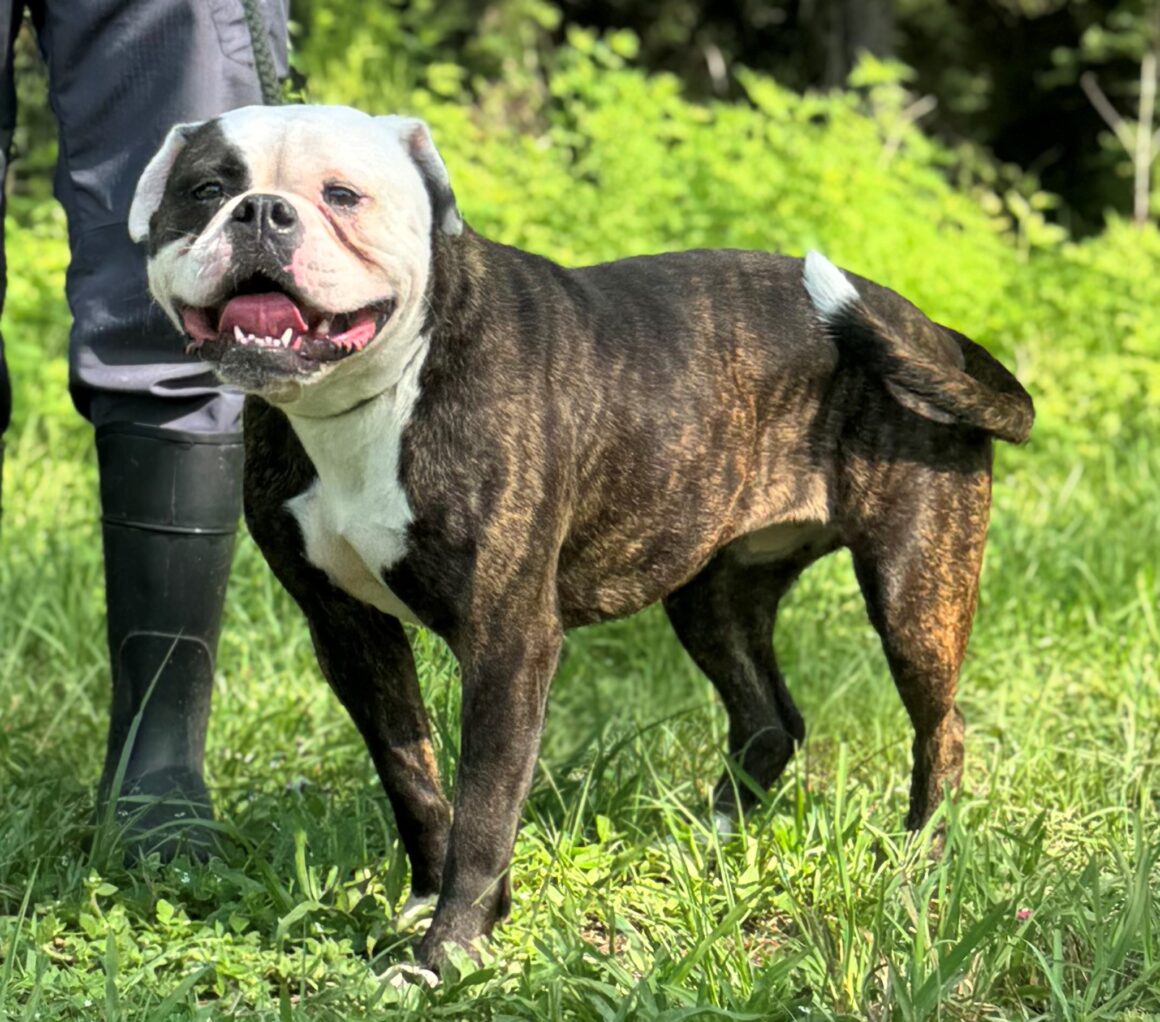 Maggie