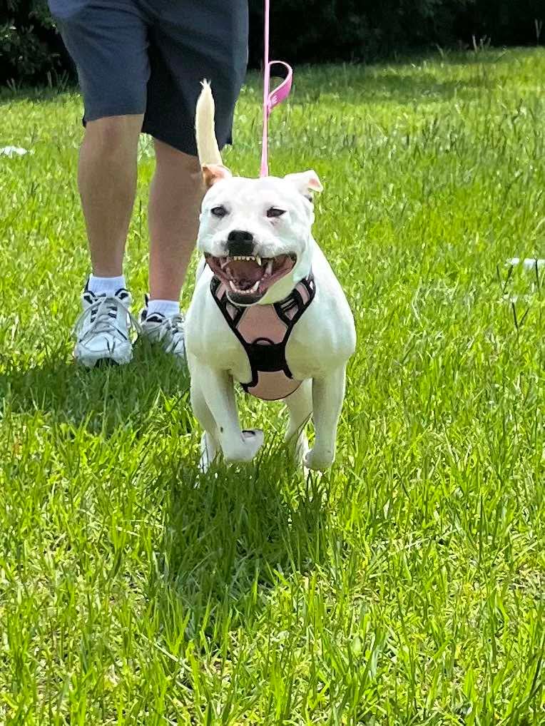 Bonnie