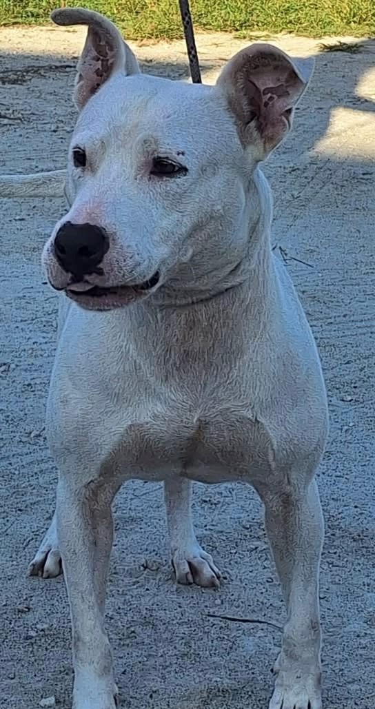 Jack